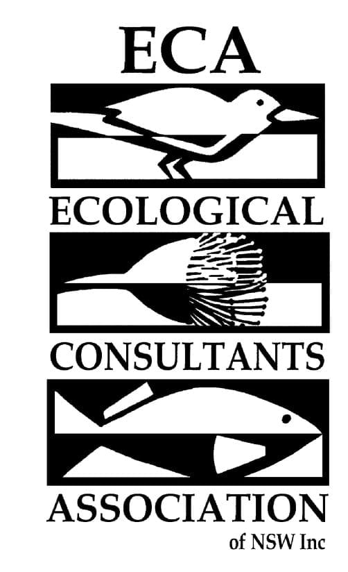 ECA logo